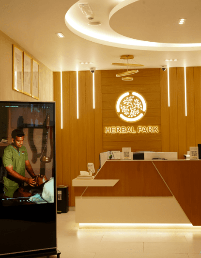 Herbal Park Office Interior 3