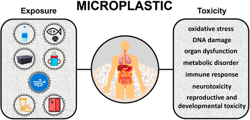 Hidden Health Issues of Microplastics: How Ayurveda Can Reduce the Adverse Effects